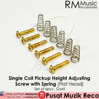 【6pcs】 RM Electric Guitar Single Coil Pickups Height Adjusting Screws with Spring (Black / Chrome / Gold) - Reco Music Malaysia