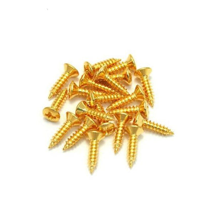 Allparts GS-0001-002 Gold Pickguard Screws, 20-Pack - Reco Music Malaysia