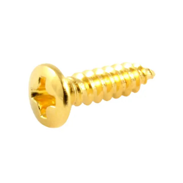 Allparts GS-0001-002 Gold Pickguard Screws, 20-Pack - Reco Music Malaysia