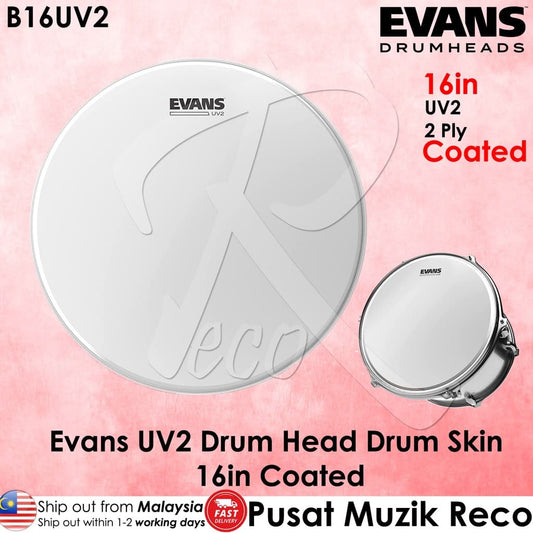 *Evans B16UV2 UV2 Coated 16" Tom Drumhead - Reco Music Malaysia