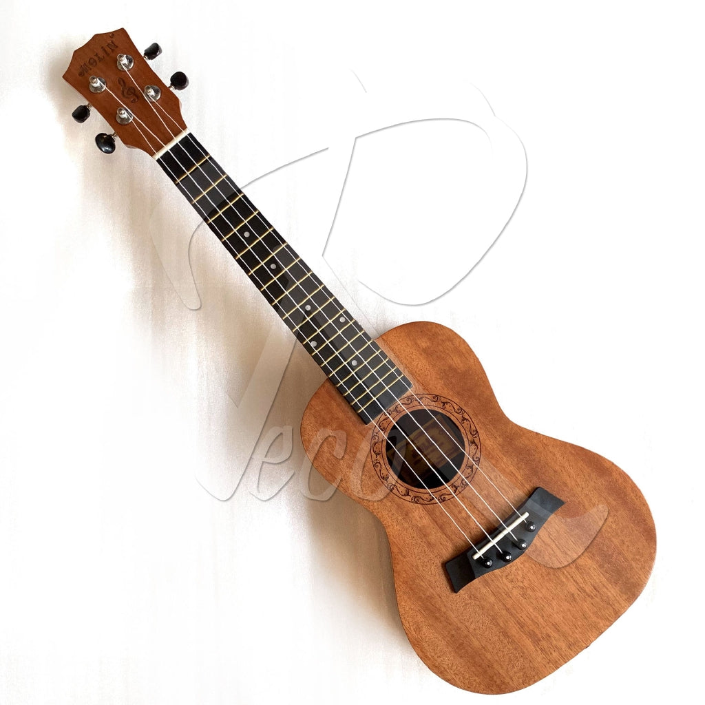 Molin 23in Concert Ukulele with Free Bag | RecoMusic Malaysia