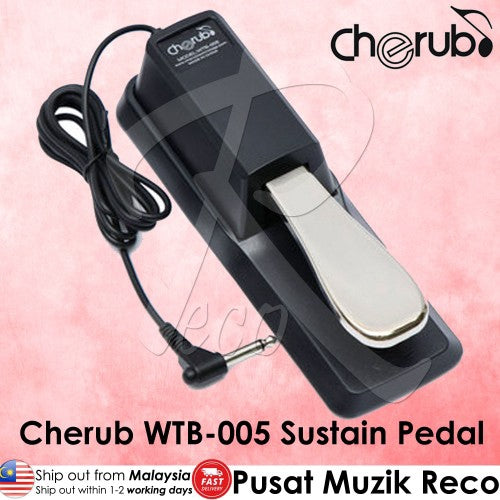 Cherub WTB-005 Digital Piano and Keyboard Sustain Pedal - Reco Music Malaysia